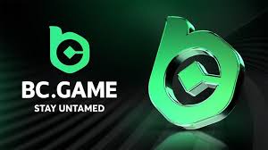 Exploring BC.Game The Rise of Online Gaming in Argentina -717360136
