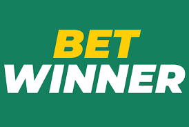 Exploring BetWinner Bonus Details Opportunities for Players